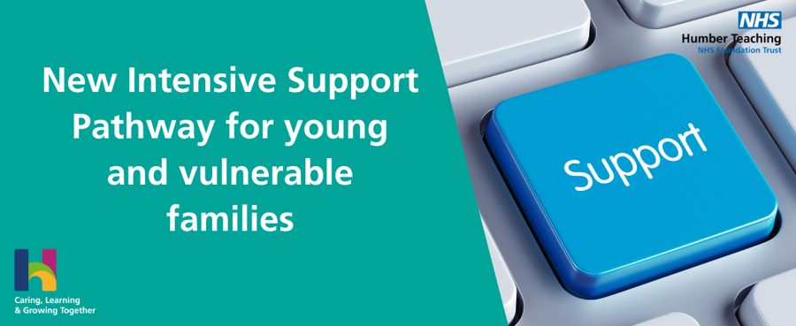 New Intensive Support Pathway for young and vulnerable families.png